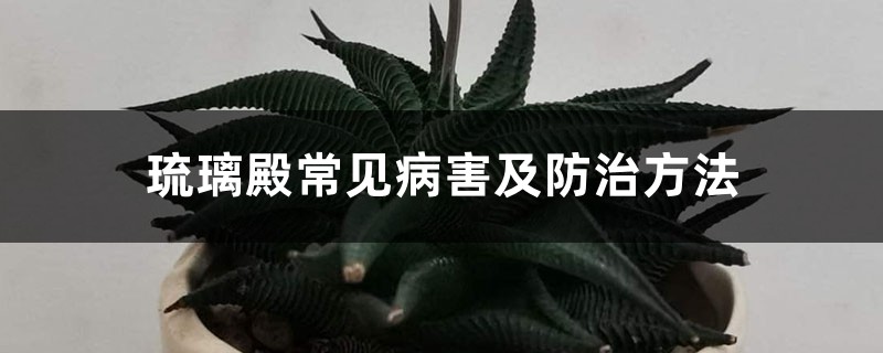 琉璃殿常见病害及防治方法