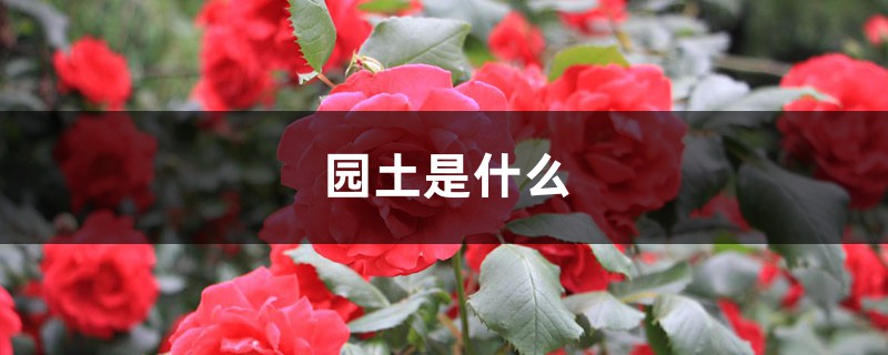 园土是什么