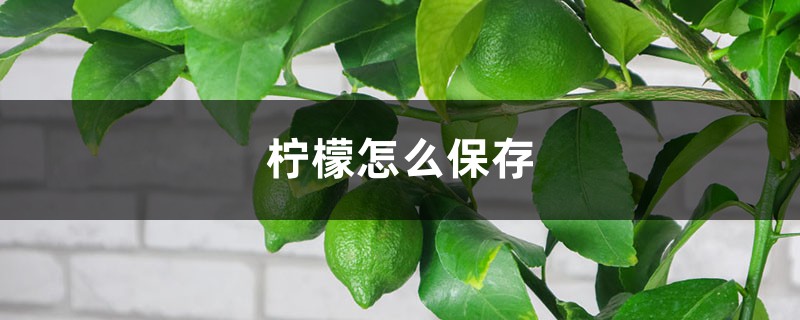 柠檬怎么保存