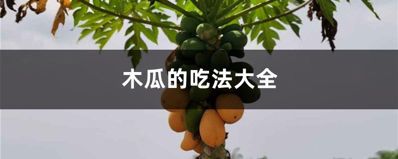 木瓜的吃法大全