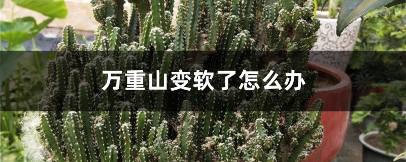 万重山变软了怎么办