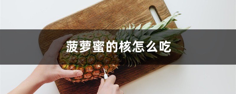 菠萝蜜的核怎么吃