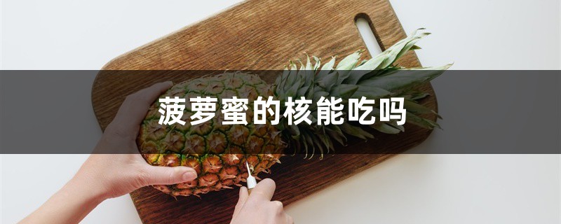 菠萝蜜的核能吃吗